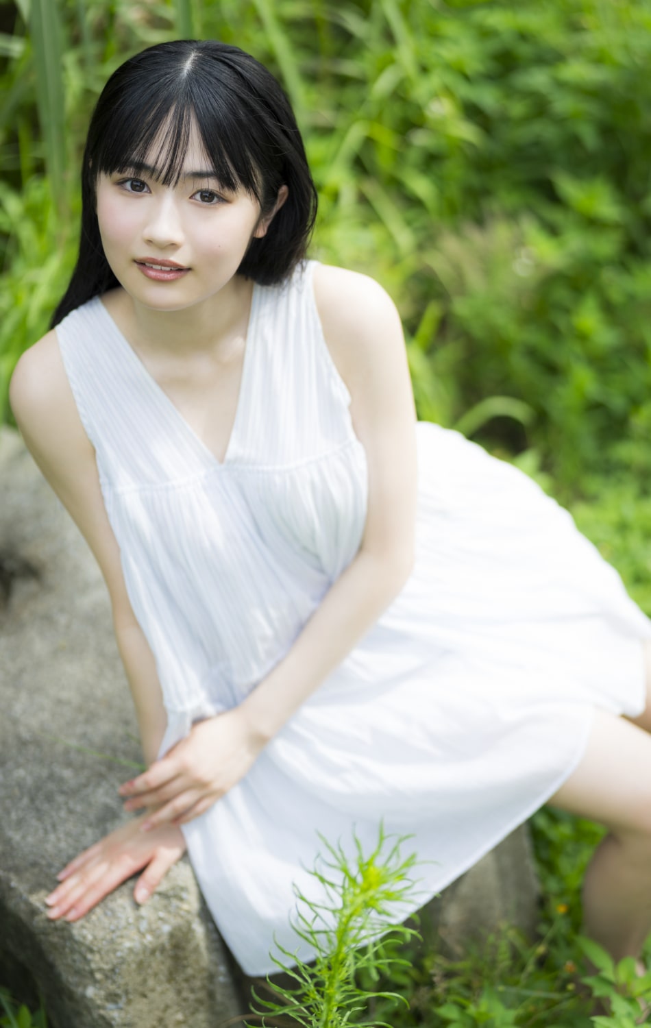 晴 こころ